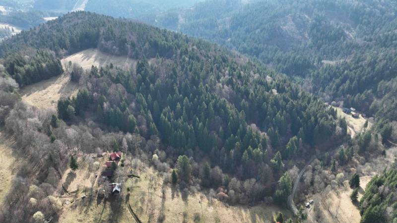 Lazy pod Makytou – Lesný pozemok - Lesné porasty a lúky obklopujú Lazy pod Makytou s poľnohospodárskymi a lesnými pozemkami.