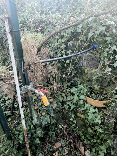 Kaskádovitá záhrada s výhľadom na Kalváriu – Nitra, Horné Krškany - Nitra, Záhrady: Záhradná hadica a vodovodný kohútik v zarastenom prostredí.