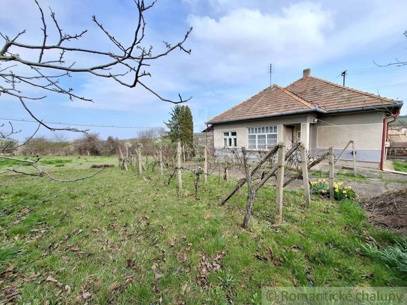 Pôvodný priestranný rodinný dom na rozľahlom pozemku v malebnej obci Ľ - Rodinný dom v Ľube obklopený záhradou a viničom, drevená strecha.