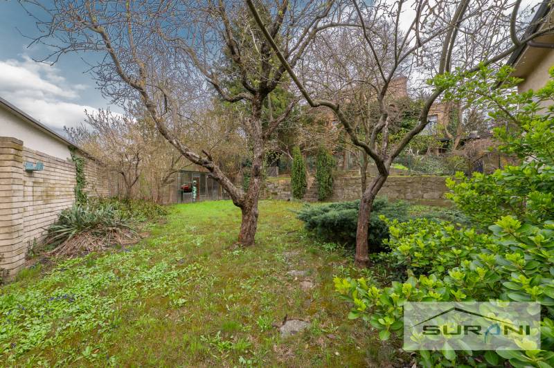 PRENÁJOM 4-IZBOVÉHO BYTU | ZÁHRADA | DVOJGARÁŽ | KRČMÉRYHO ULICA - Záhrada pri 4-izbovom byte na Krčméryho ulici v Bratislave - Starom Meste.