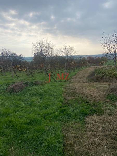 Vinica s pozemkom na výstvabu chaty - Žemberovce - znížená cena  - Na ulici Zadná hora vidno prirodzenú krásu Viníc a okolitú krajinu.