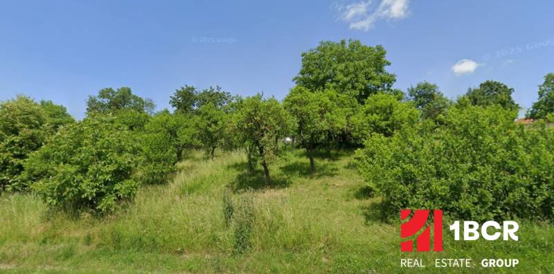 OVOCNÝ SAD, RUDNÍK - OKRES MYJAVA - Zelené poľnohospodárske a lesné pozemky v Rudníku s množstvom stromov a kríkov.
