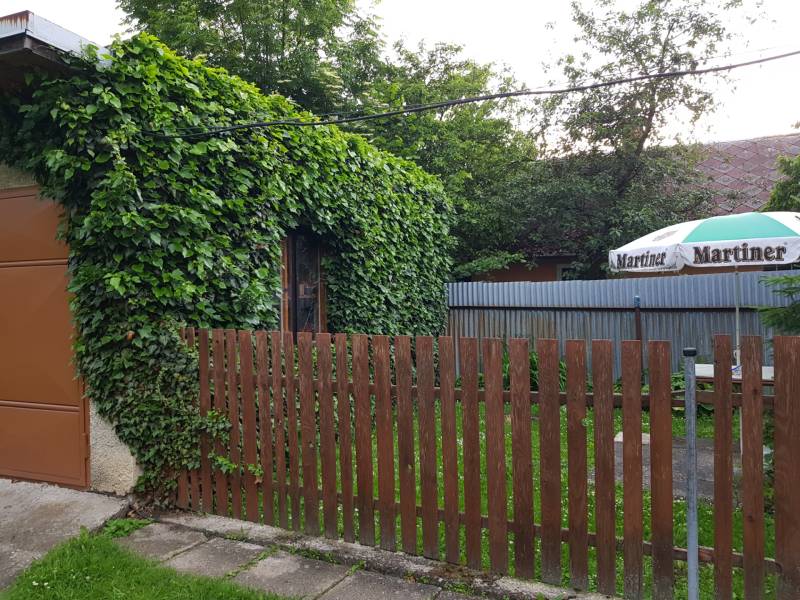 PREDAJ – Rodinný dom s druhou samostatnou stavbou, garážou  - Zeleň porastená po stene rodinného domu na ulici Blatnica v Blatnici.