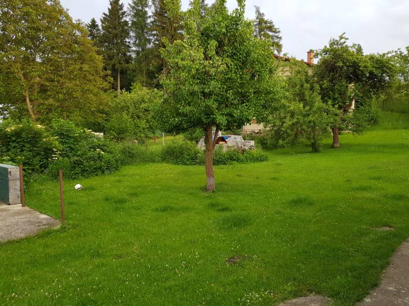 PREDAJ – Rodinný dom s druhou samostatnou stavbou, garážou  - Záhrada pri rodinnom dome na ulici v Blatnici s trávnikom a stromami.