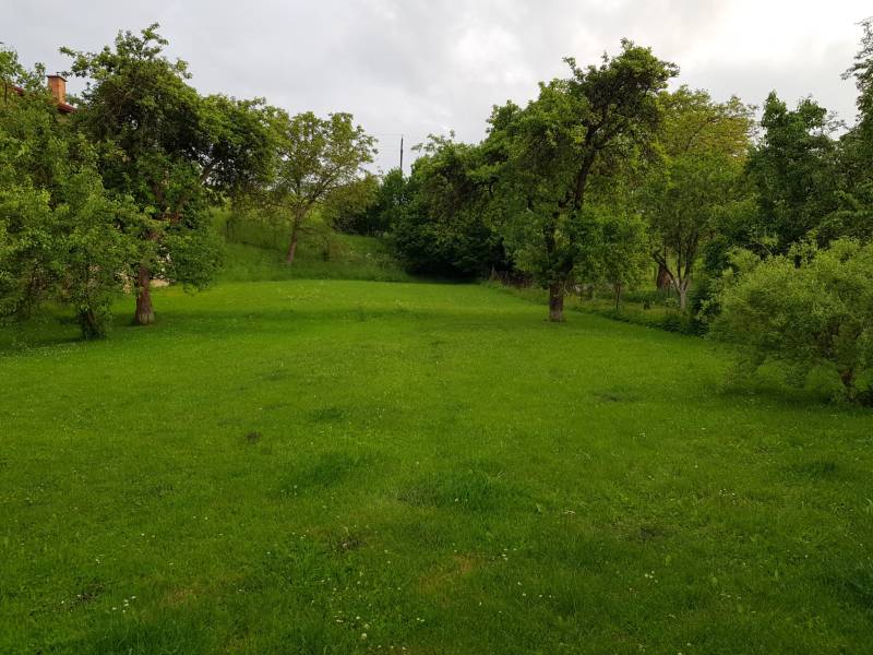 PREDAJ – Rodinný dom s druhou samostatnou stavbou, garážou  - Zeleň a stromy v záhrade pri rodinnom dome v Blatnici na ulici Blatnica.