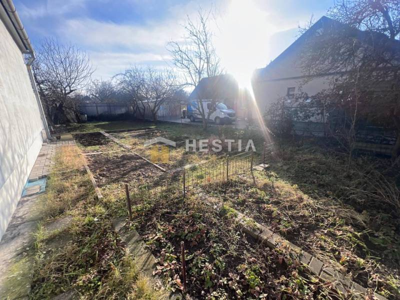 Na predaj rodinný dom, gastro prevádzka – Senica, Robotnícka ulica - Záhrada s holými stromami a oplotenými záhonmi v Senici, osvetlená slnečnými lúčmi.