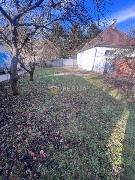 Na predaj rodinný dom, gastro prevádzka – Senica, Robotnícka ulica - Záhrada v Senici s ovocnými stromami a trávnikom blízko gastro priestorov.