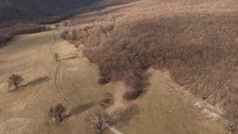 Príbelce – 3.748 m2 Lesný pozemok - Lúky a lesné porasty v okolí Príbeliec. Poľnohospodárske a lesné pozemky s cestou.
