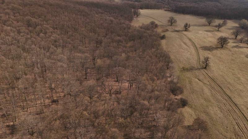 Príbelce – 3.748 m2 Lesný pozemok - Krajina v Príbelsciach s lesnými a poľnohospodárskymi pozemkami prechádzajúcimi do otvorených lúk.