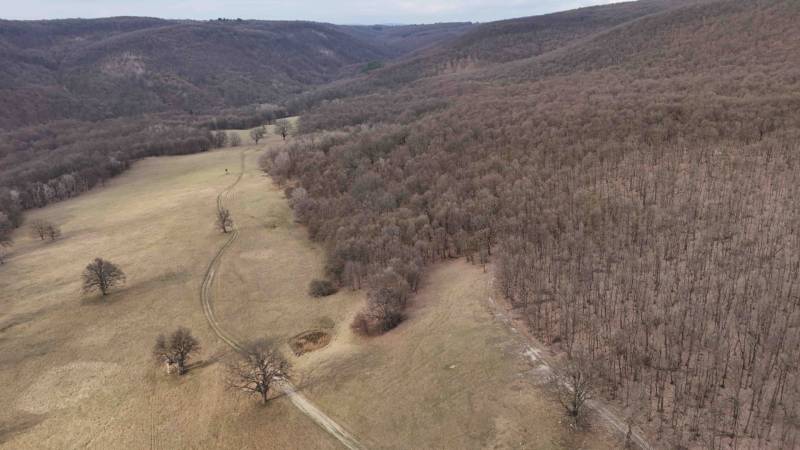 Príbelce – 3.748 m2 Lesný pozemok - Kopcovitá krajina v okolí Príbeliec so zmesou lesov a poľnohospodárskych pozemkov.