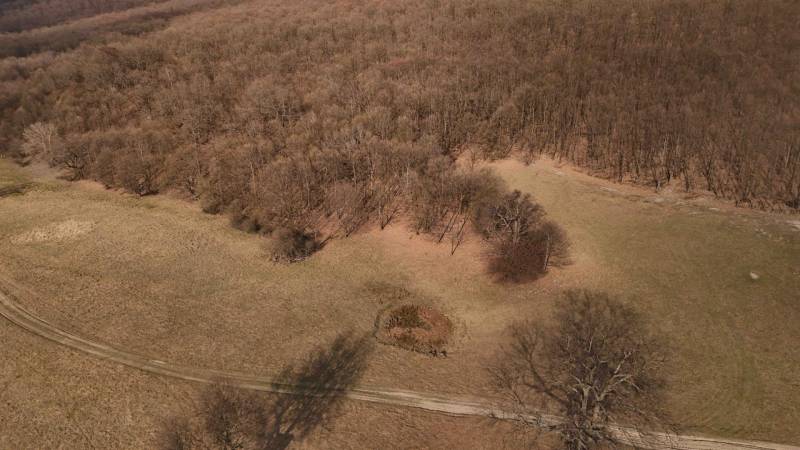 Príbelce – 3.748 m2 Lesný pozemok - Lesné a poľnohospodárske pozemky v Príbelciach zahŕňajú polia, les a cesty.