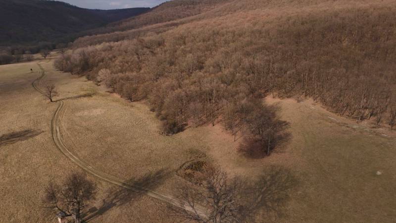 Príbelce – 3.748 m2 Lesný pozemok - Poľnohospodárske a lesné pozemky v Príbelciach s cestou vedúcou pozdĺž lesného porastu.