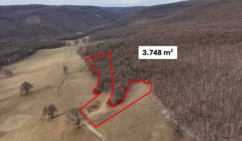 Príbelce – 3.748 m2 Lesný pozemok - Poľnohospodárske a lesné pozemky v okolí Príbeliec s vyznačenou plochou 3.748 m².