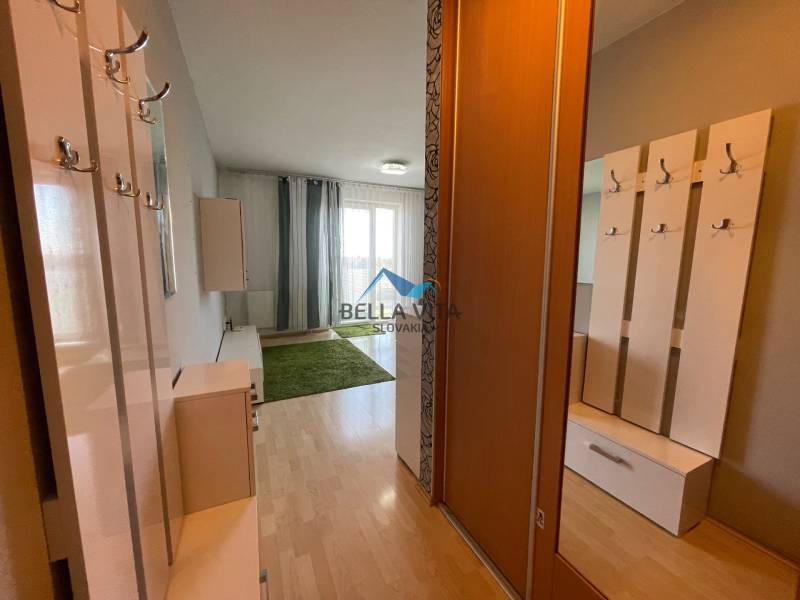 Prenájom 1 izbový byt v Galante, Hodská - Vstupná hala s podlahou s dreveným dekorom v 1-izbovom byte so šatníkom.