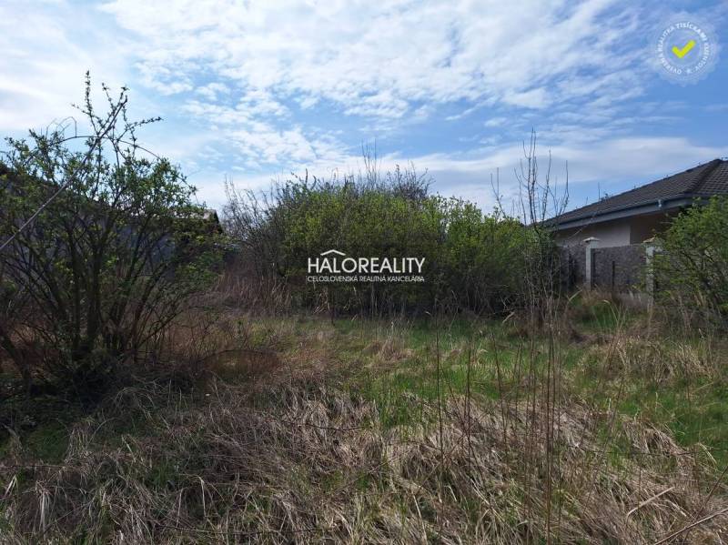 Predaj, pozemok pre rodinný dom   1468 m2 Dvorníky -... - Pozemky - bývanie v Dvorníkoch s kríkmi a trávnatou plochou, ideálne na stavbu.