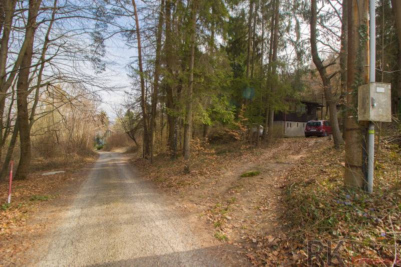 Chata na Domaši, Holčíkovce, Poľany-Monika - Prírodná scenéria s lesnou cestou na rekreačných pozemkoch v Holčíkovciach.