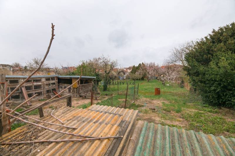 Na predaj rodinný dom Trnava, Zelenečská ulica, pozemok 1085 m2 - Záhrada s kôlňou a stromami za rodinným domom na Zelenečskej ulici v Trnave.