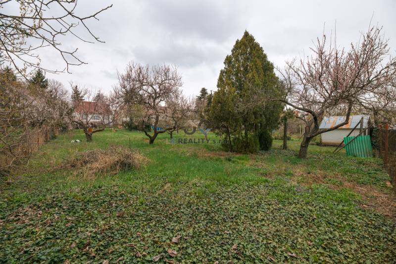 Na predaj rodinný dom Trnava, Zelenečská ulica, pozemok 1085 m2 - Záhrada s trávnatým porastom a stromami vedľa rodinného domu na Zelenečskej ulici v Trnave.