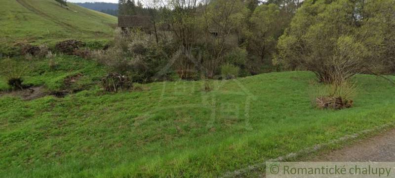 Slnečný pozemok pre vašu chatu v srdci Pienin – Havka - Zeleň a stromy na pozemkoch pre bývanie v meste Havka.