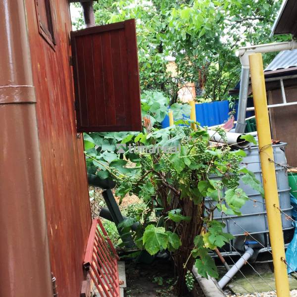 Bývanie v prírode, na dosah mesta, murov. chatka s celoročným využitím - Rodinný dom v Bohdanovciach nad Trnavou s drevenou stenou a hustou vegetáciou v záhrade.