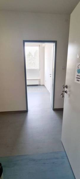 Dobré reality-na prenájom priestory 48,4 m2 a 30,90m2+ kúpelňa s wc, p - Interiér Kancelárie s bielymi stenami, podlahou s dreveným dekorom a dverami s oknom.