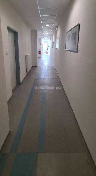 Dobré reality-na prenájom priestory 48,4 m2 a 30,90m2+ kúpelňa s wc, p - Dlhá chodba s bielymi stenami, stropnými svetlami a obrázkami v kanceláriách.