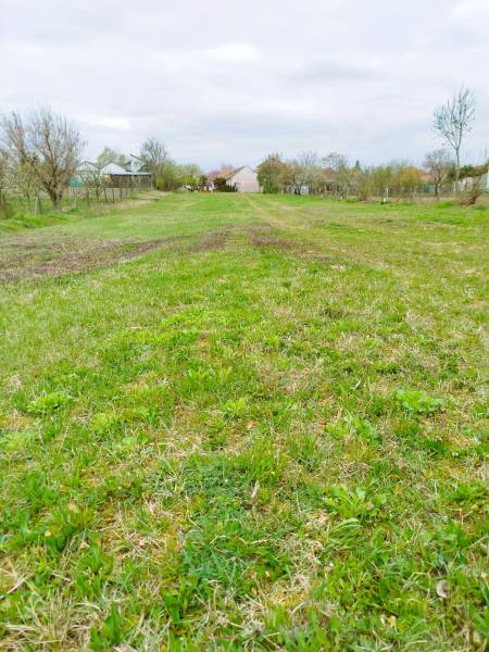 Veľký stavebný pozemok len 15 km od Nitry v obci Horná Kráľová - Zelený pozemok na bývanie v Hornej Kráľovej, s viditeľnými stromami a domami v diaľke.