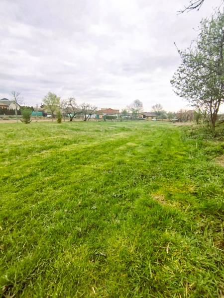 Veľký stavebný pozemok len 15 km od Nitry v obci Horná Kráľová - Zelený pozemok na bývanie v Horne Kráľovej obklopený prírodou a stromami.