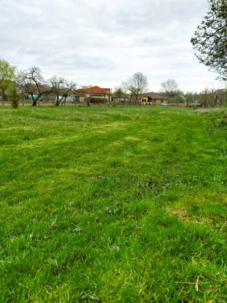 Veľký stavebný pozemok len 15 km od Nitry v obci Horná Kráľová - Zeleň a domy v Horných Kráľovej, vhodné pre Pozemky - bývanie.