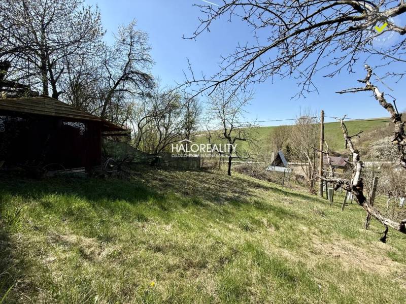 Predaj, záhradná chata Rimavská Sobota, Tormáš - EXK... - Záhrady v Rimavskej Sobote s trávnatou plochou, dreveným domčekom a blízkou prírodou.