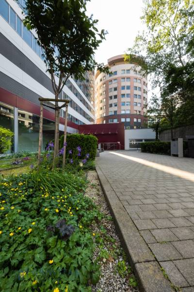 Kancelárie od 20m2 na PRENÁJOM | TOP biznis lokalita - Zeleň a architektúra kancelárií na Plynárenskej v Bratislave.