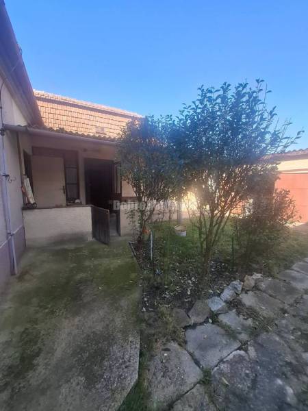 Na predaj rodinny dom v obci Iža. - Rodinný dom v Iži s dvorom, chodníkom a rastlinami pred domom.