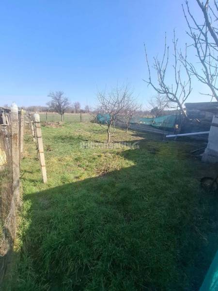 Na predaj rodinny dom v obci Iža. - Záhrada s trávou a ovocnými stromami pri rodinnom dome v obci Iža.