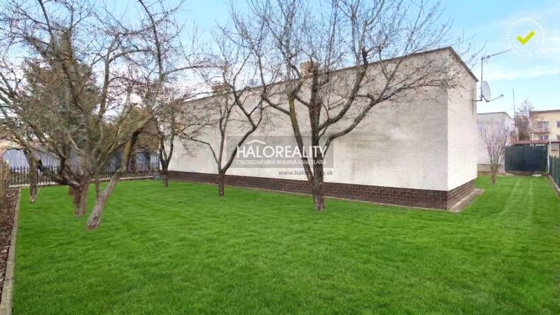 Predaj, rodinný dom Poltár - EXKLUZÍVNE HALO REALITY - Záhrada s trávnikom a stromami pri rodinnom dome v Poltári.