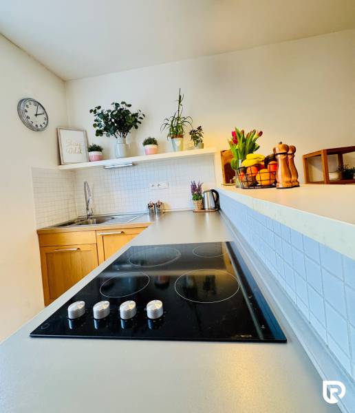 Tichý 2i byt v TOP Lokalite Nív | Trenčianska, BA - Svetlá kuchyňa s varnou doskou, drezom, rastlinami a doplnkami v 2-izbovom byte.