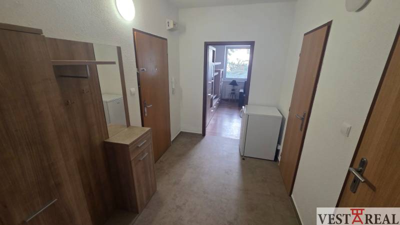 Prenájom veľký 1 izbový byt 48m2 Vráble- Centrum - Vstupná hala a chodba v 1-izbovom byte s podlahou s dreveným dekorom.
