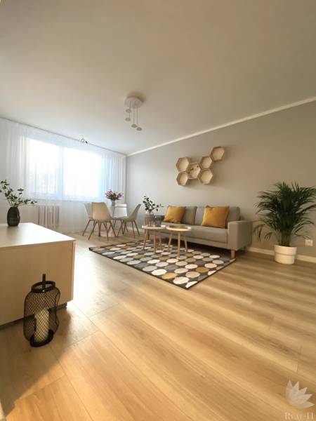 Dizajnový moderný 2 izbový byt Jurigovo nám. Bratislava IV Karlova Ves - Obývačka v 2-izbovom byte s pohovkou, kobercom a podlahou s dreveným dekorom.