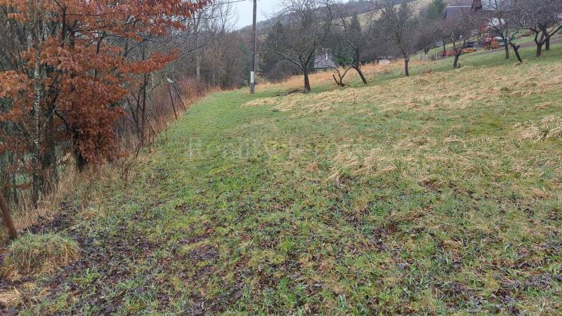 Pozemok na predaj - Vydrná - Prírodná scenéria s trávnatým pozemkom a stromami na rekreačných pozemkoch v Púchove.