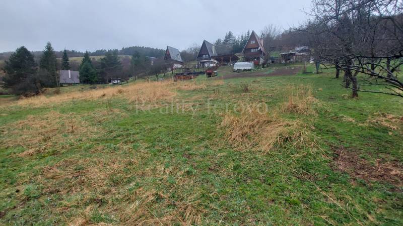 Pozemok na predaj - Vydrná - Rozľahlé rekreačné pozemky v Púchove s chatkami a zeleňou lemovanou stromami.
