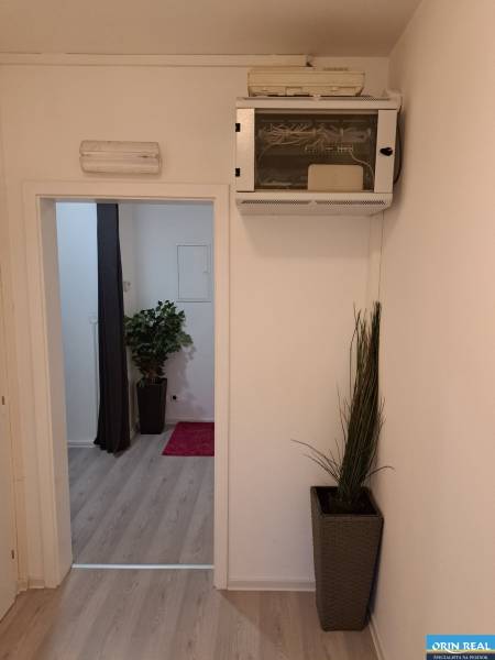 PREDAJ NEBYTOVÉHO PRIESTORU TAKMER V CENTRE PEZINKA - V interiéri s kvetinami na ulici Hrnčiarska sú zobrazené kancelárie a rozvádzač.
