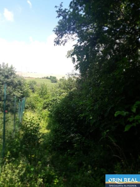 PREDAJ INVESTIČNÉHO POZEMKU V ŠENKVICIACH NA VÝSTAVBU RD - 2197 m2 - Pozemky - bývanie na Ružovej ulici v Šenkviciach, s hustou zeleňou a oplotením.