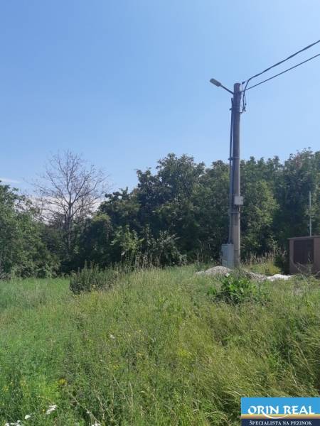 PREDAJ INVESTIČNÉHO POZEMKU V ŠENKVICIACH NA VÝSTAVBU RD - 2197 m2 - Pozemok na bývanie na Ružovej ulici v Šenkviciach s hustou vegetáciou a elektrickým stĺpom.