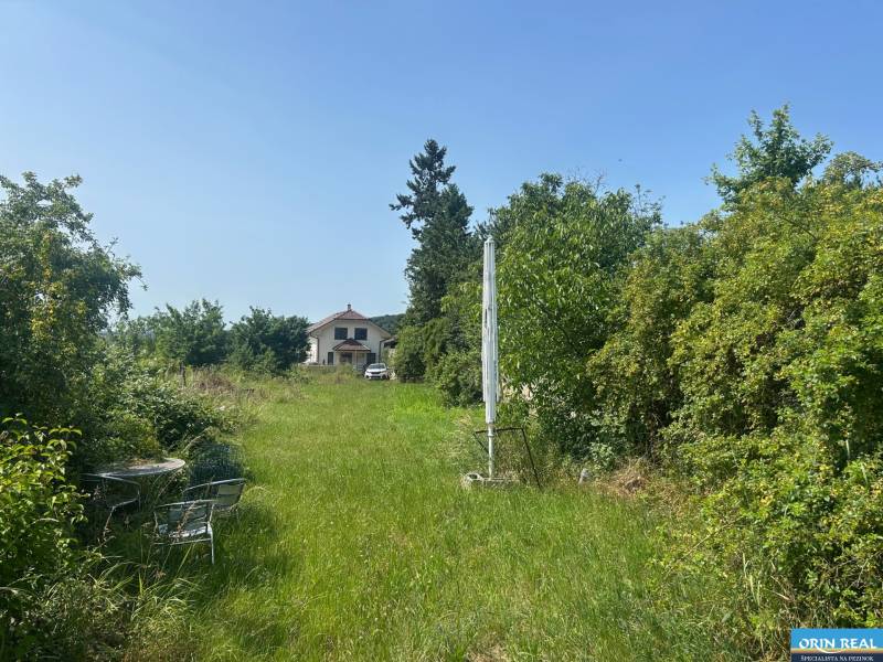ATRAKTÍVNÝ SP VO SVATOM JURE 1088 m2 - Zeleň a kroviny v Svätom Jure na ulici Zuby s výhľadom na dom, Pozemky - bývanie.