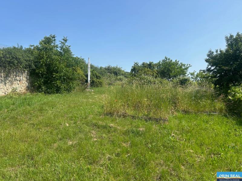 ATRAKTÍVNÝ SP VO SVATOM JURE 1088 m2 - Zeleň a kamenný múr medzi pozemkami na bývanie na ulici Zuby v Svätom Jure.