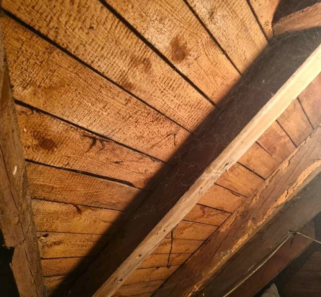 Rodinný dom na predaj - Znížená cena. - Drevený krov na podkroví rodinného domu v Malých Levároch, s pavučinami.