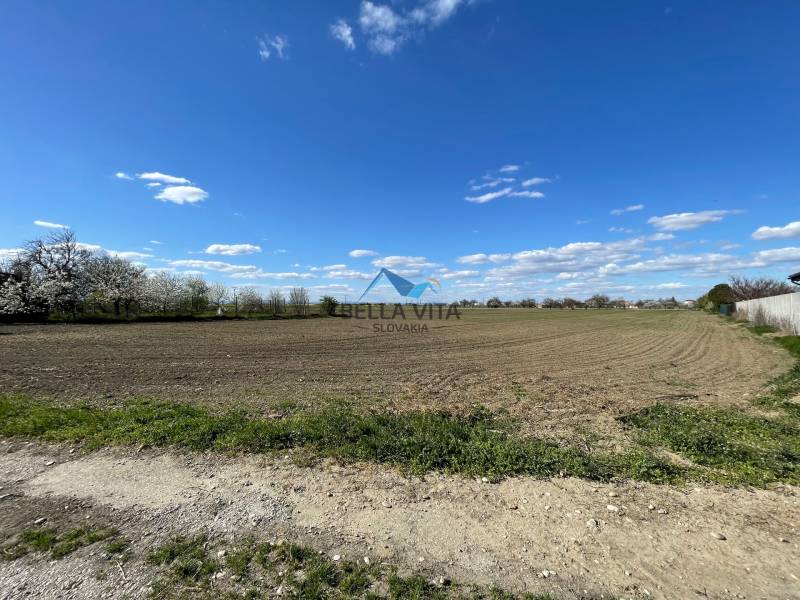 Zaujímavý pozemok v obci Košúty (záhrada) - Rozľahlé pole obklopené kvitnúcimi stromami na Košútskej ulici v Košútoch záhrady.