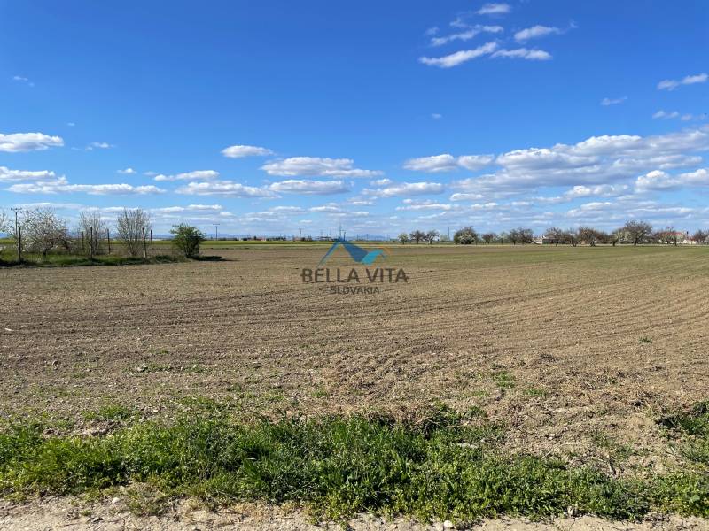 Zaujímavý pozemok v obci Košúty (záhrada) - Rozľahlé pole na Košútskej ulici v Košútoch pod modrou oblohou so stromami na horizonte.