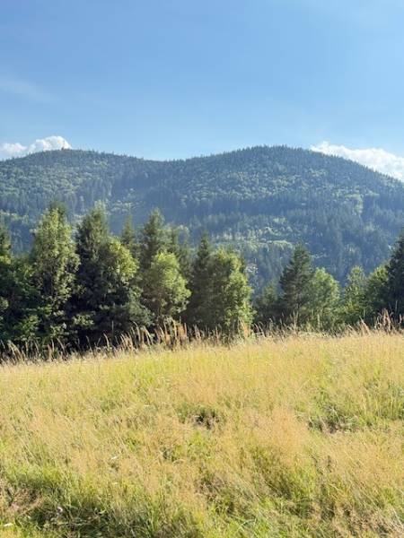 Chata pred dokončením, pozemok 770 m2, Horná Maríková - Horská krajina pri Hornej Marikovej s lesmi a lúkou pod slnečnou oblohou.