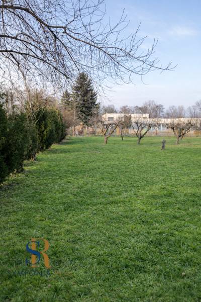 NOVINKA - Priestranných 74 m² v štýlovo zariadenom byte - Zeleň a stromy na Školskej ulici vo Vinosadoch, blízko trojizbového bytu.