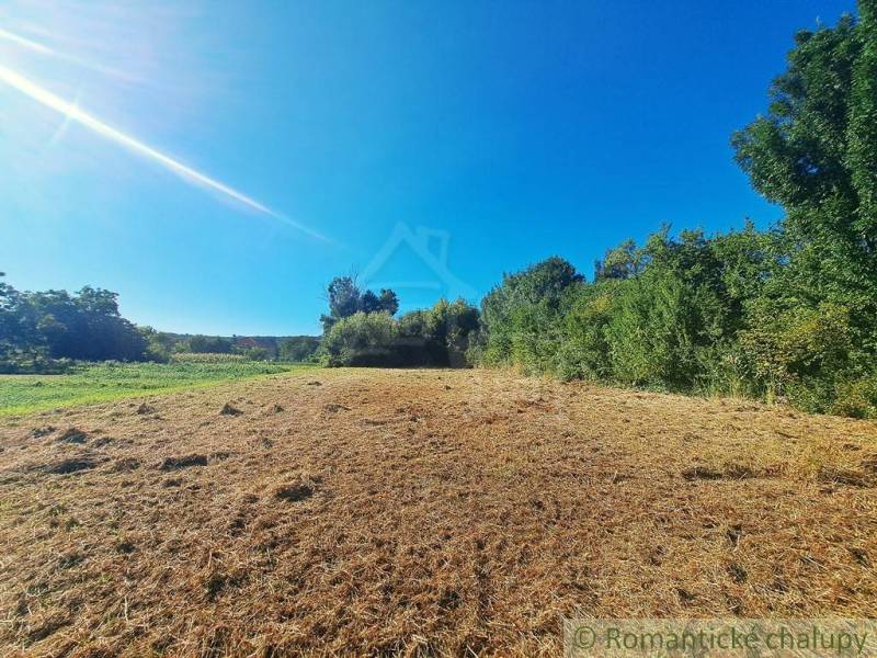 Stavebný pozemok pri Nitre so stavebným povolením v tichej lokalite - Zeleň a lúka na pozemku pre bývanie v Hosťovej pod modrou oblohou.